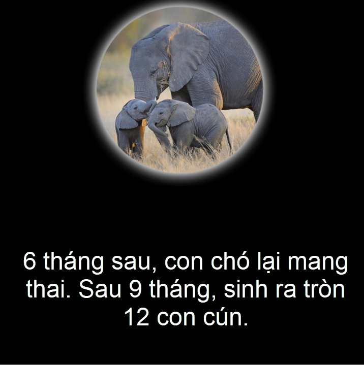 39bf267917df9f6c2ee2.png