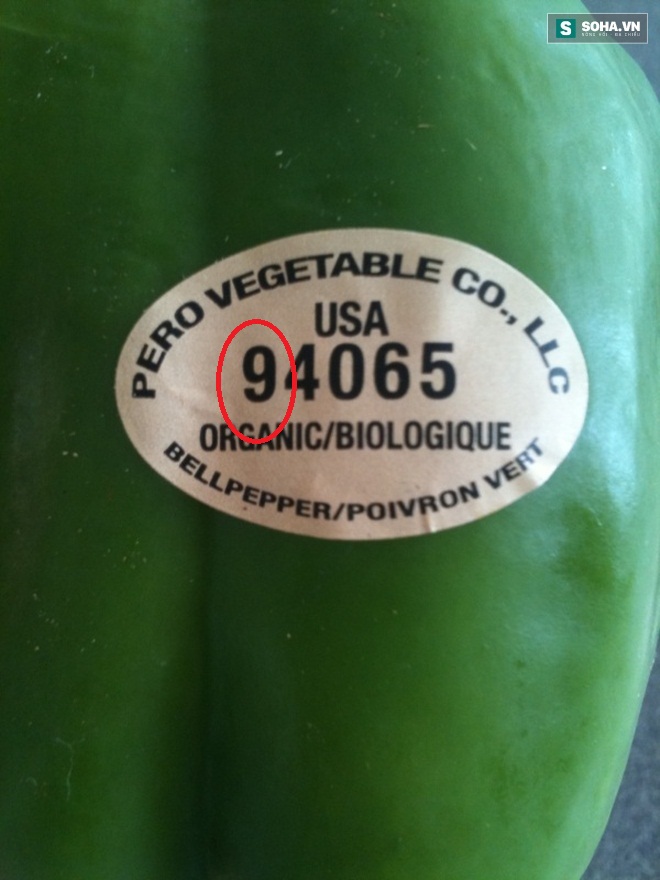 39eaee255ae669ff3484.jpg
