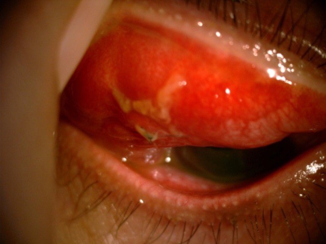 39ed9b66133376bb4fbc.jpg
