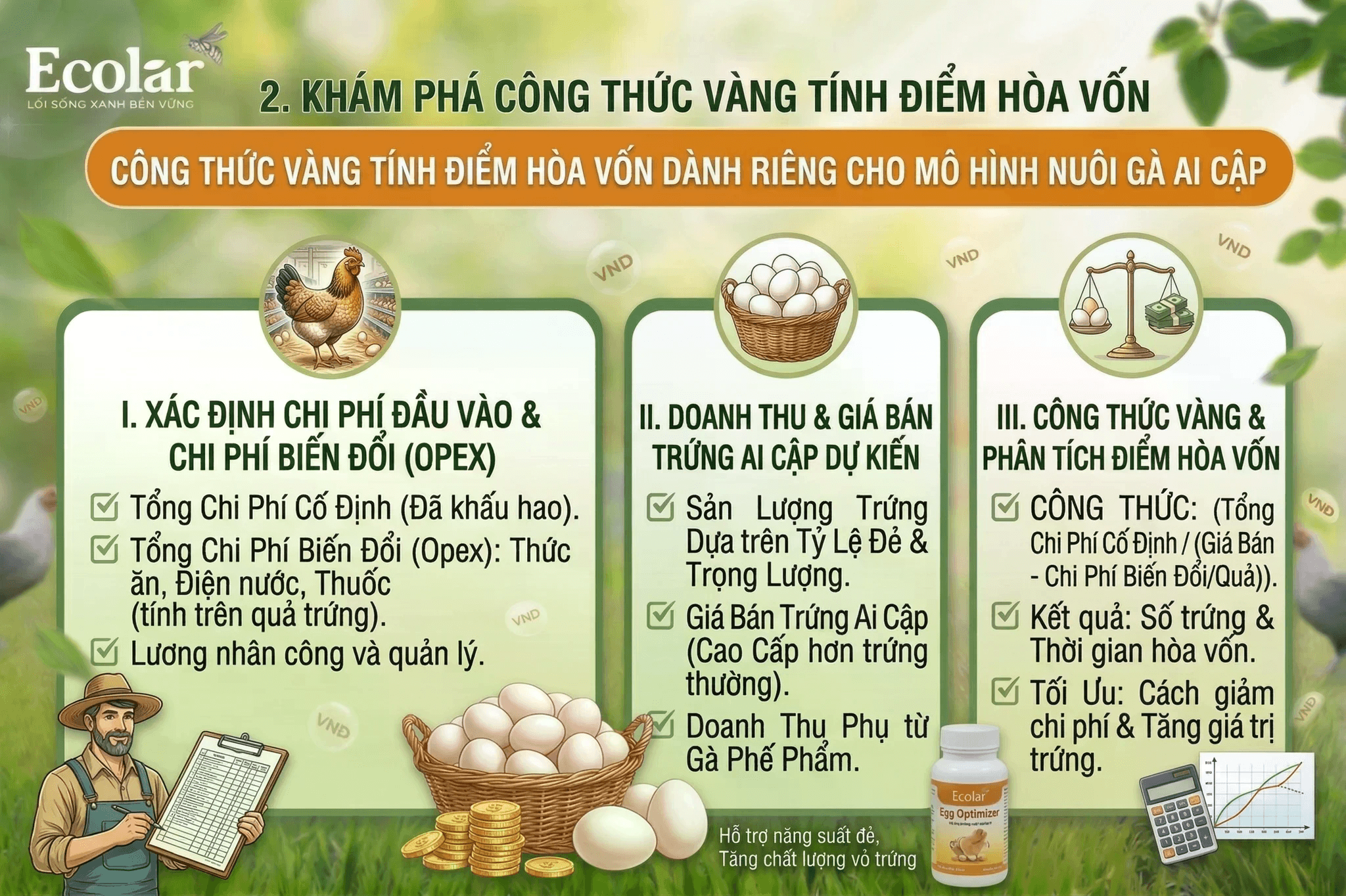 3a645a356f056ee5e3d9.png