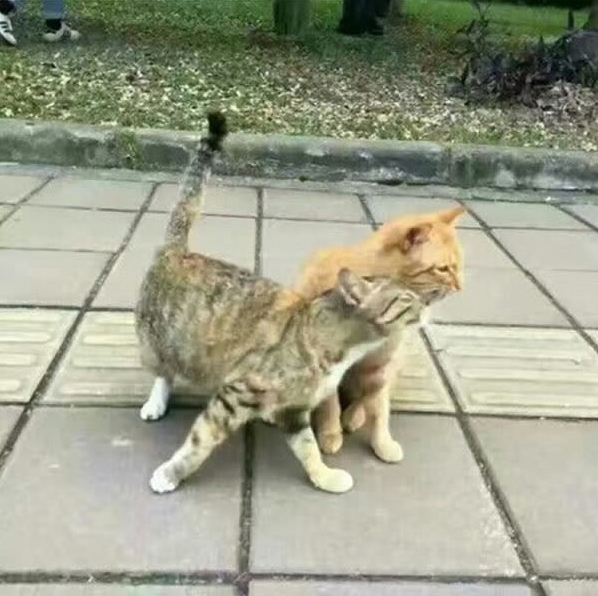 3a7c7b0c839fa1c5c726.png
