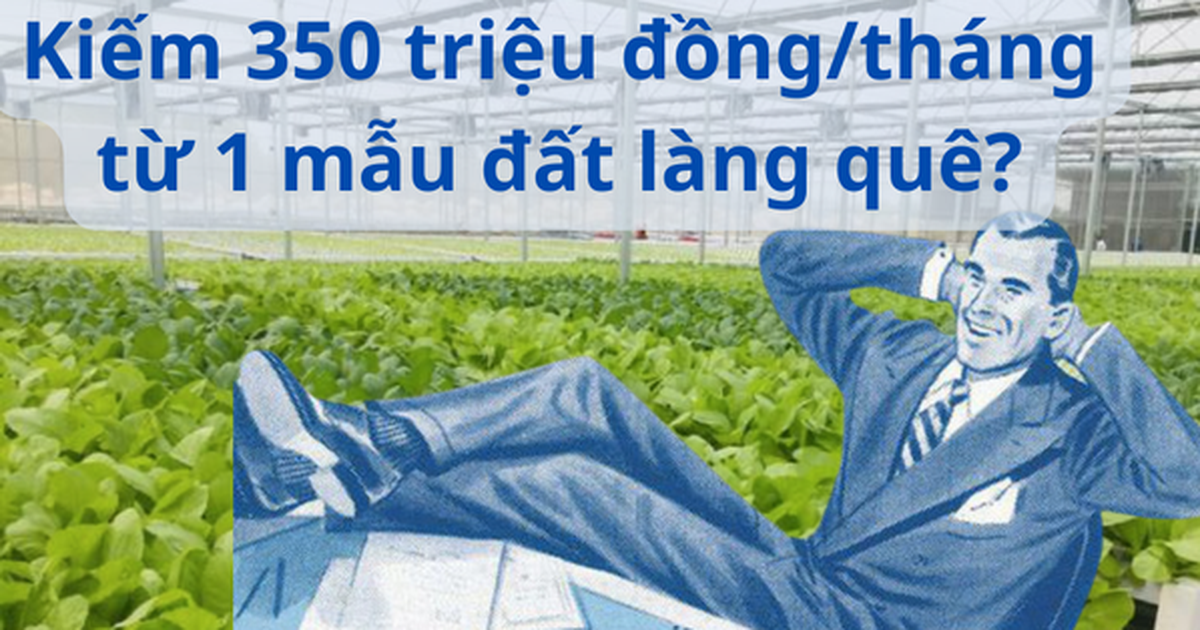 3a7ccb6b02956d238890.png