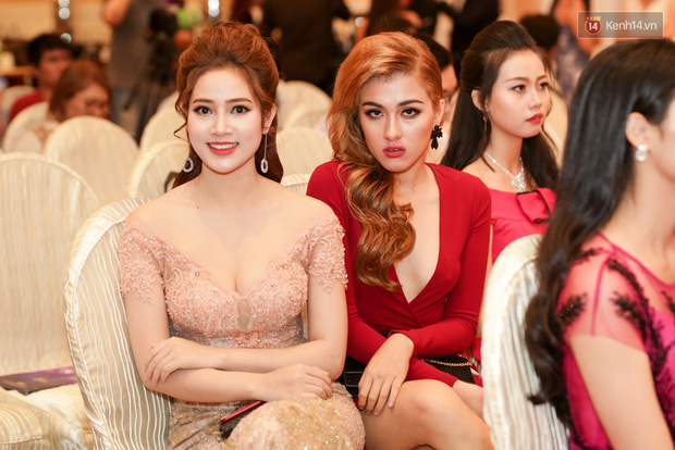 3ab5c4c2a8091cbe0be1.jpg