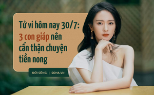 3ada876ae08c50cf4a25.png