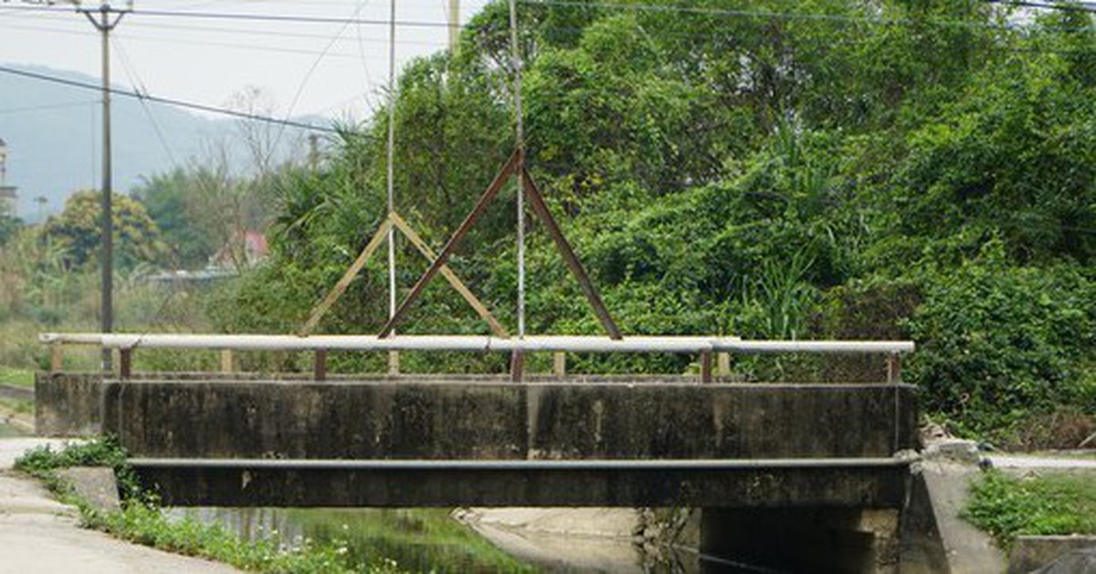 3aefb6ae81596c29ecea.jpg