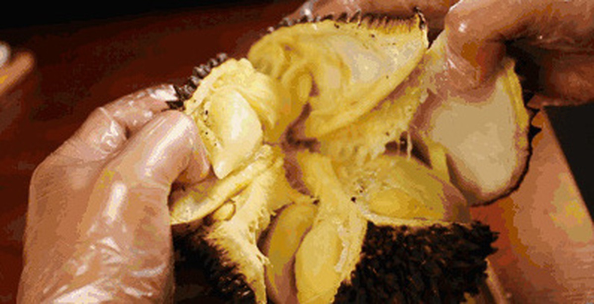 3b04861b1ee5f7936edb.jpg