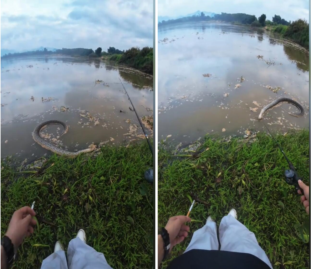 3b07981c68220ab2f3df.png