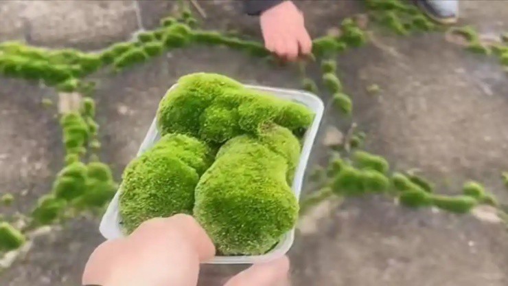 3b0f22742e13c67f6aa4.jpg