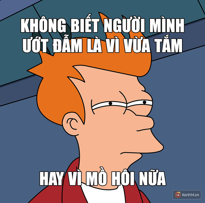3b4ce54f56ba6610fbae.jpg