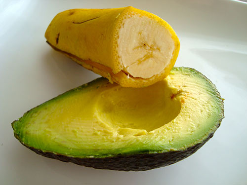 3b5ddc2b9a1da8e1179c.jpg