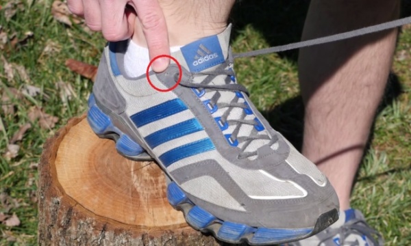 3b77b75ed764540cfadd.jpg