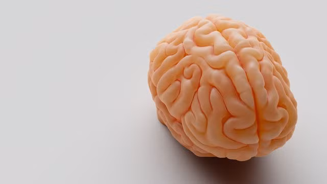 3b9daabdb82f2b0c1f6f.jpg