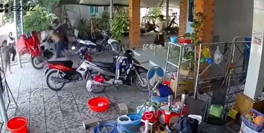 3ba38527183b350b96f1.jpg