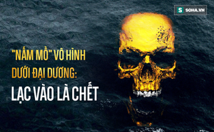 3ba463cea8e8bee00395.png