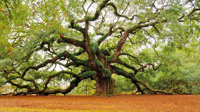 3bc01d59d748e4961479.jpg