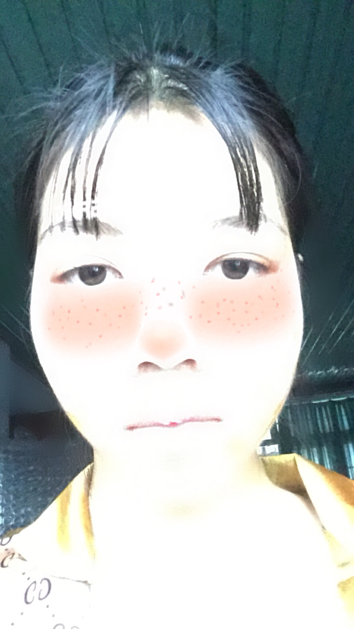 3bd25330369f2df77efc.jpg