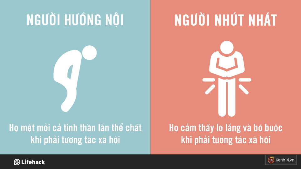 3c0ed4cac89e5b9c2981.png