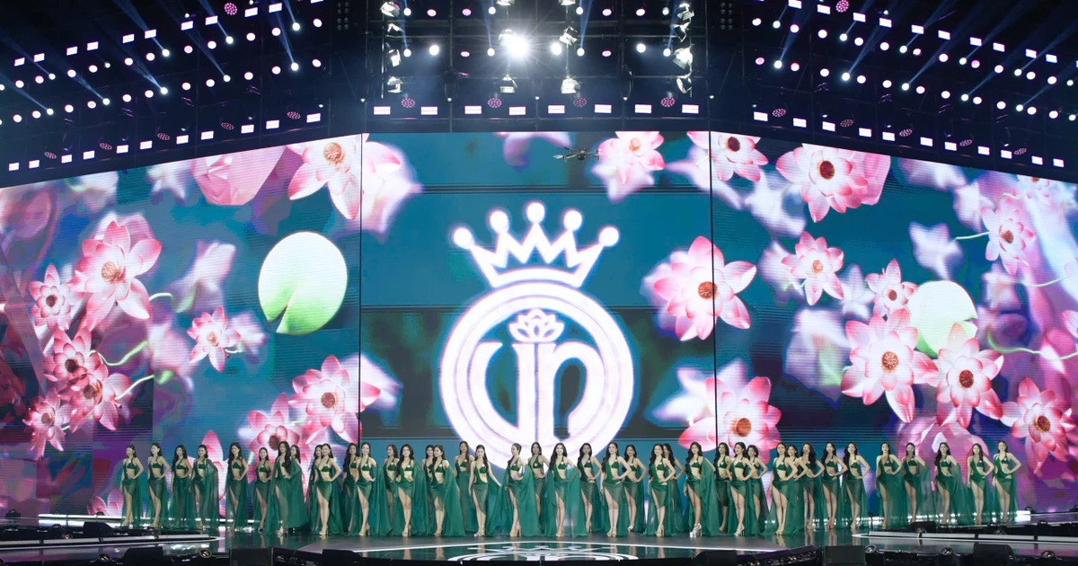 3c259d71d35a131932bc.webp