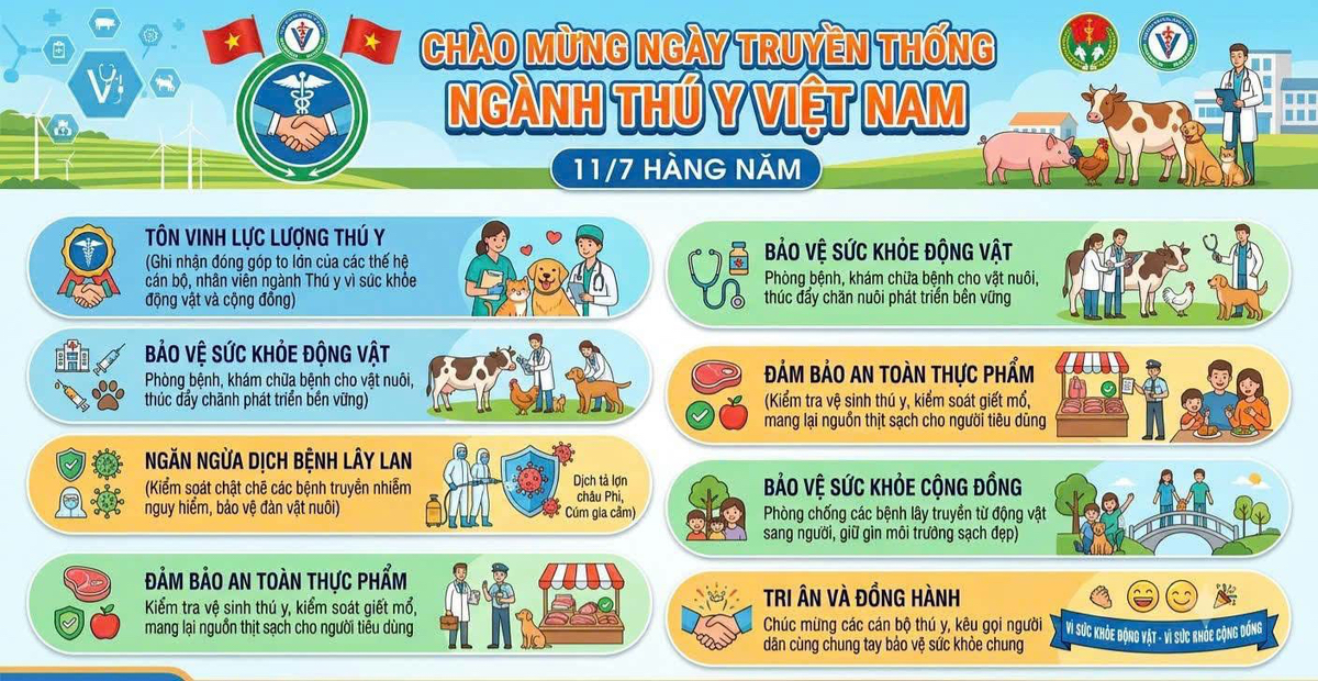 Đây rồi! Ngày 11/7 - Ngày Truyền Thống Ngành Thú Y Việt Nam: Vinh Danh Những "Bác Sĩ" Thầm Lặng Của Thế Giới Động Vật