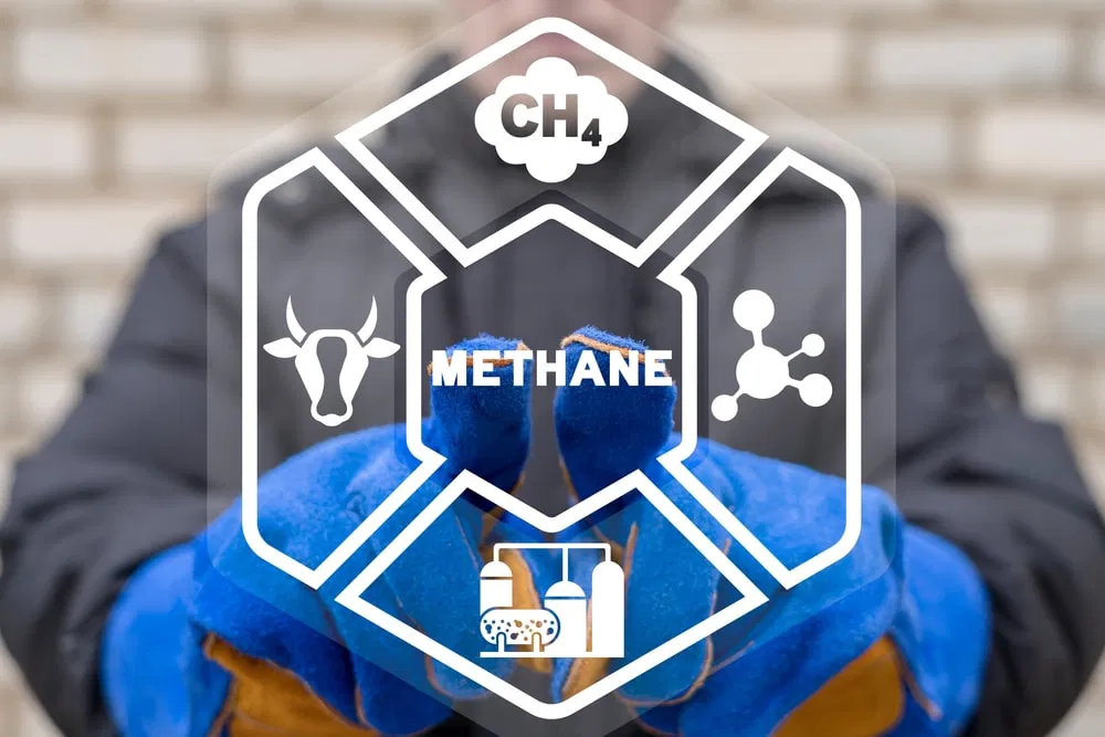 3c4ae2b3ee893e6da9f0.png