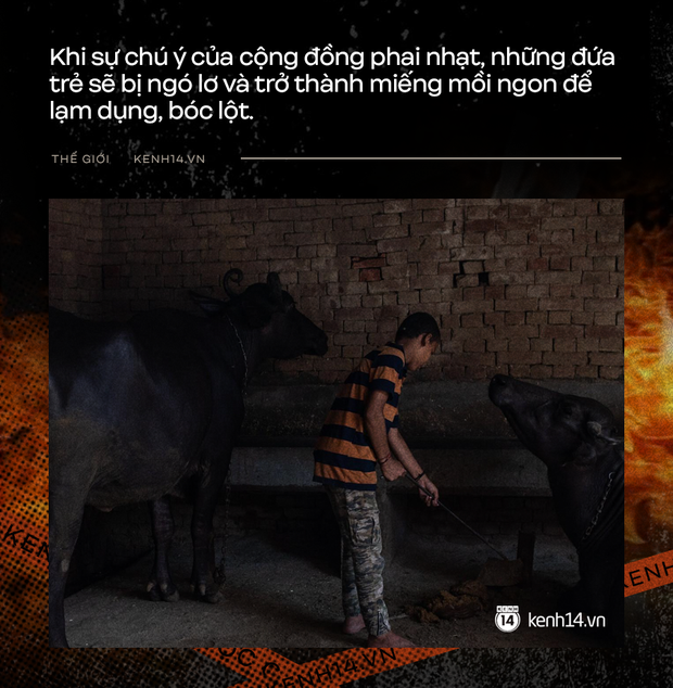 3c58284a147703a355c6.png
