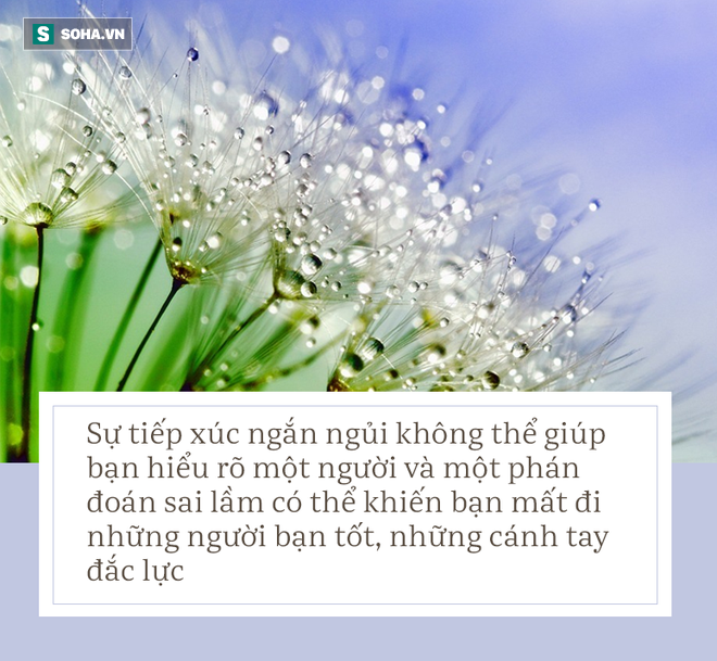 3c6a6aabbc6c41c3194d.png