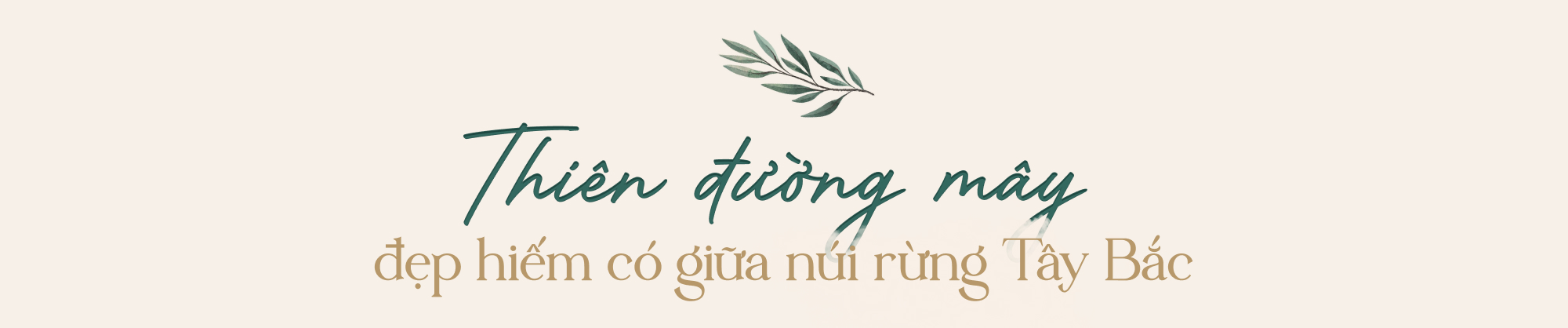 3c7cb4b99b9932afef70.jpg