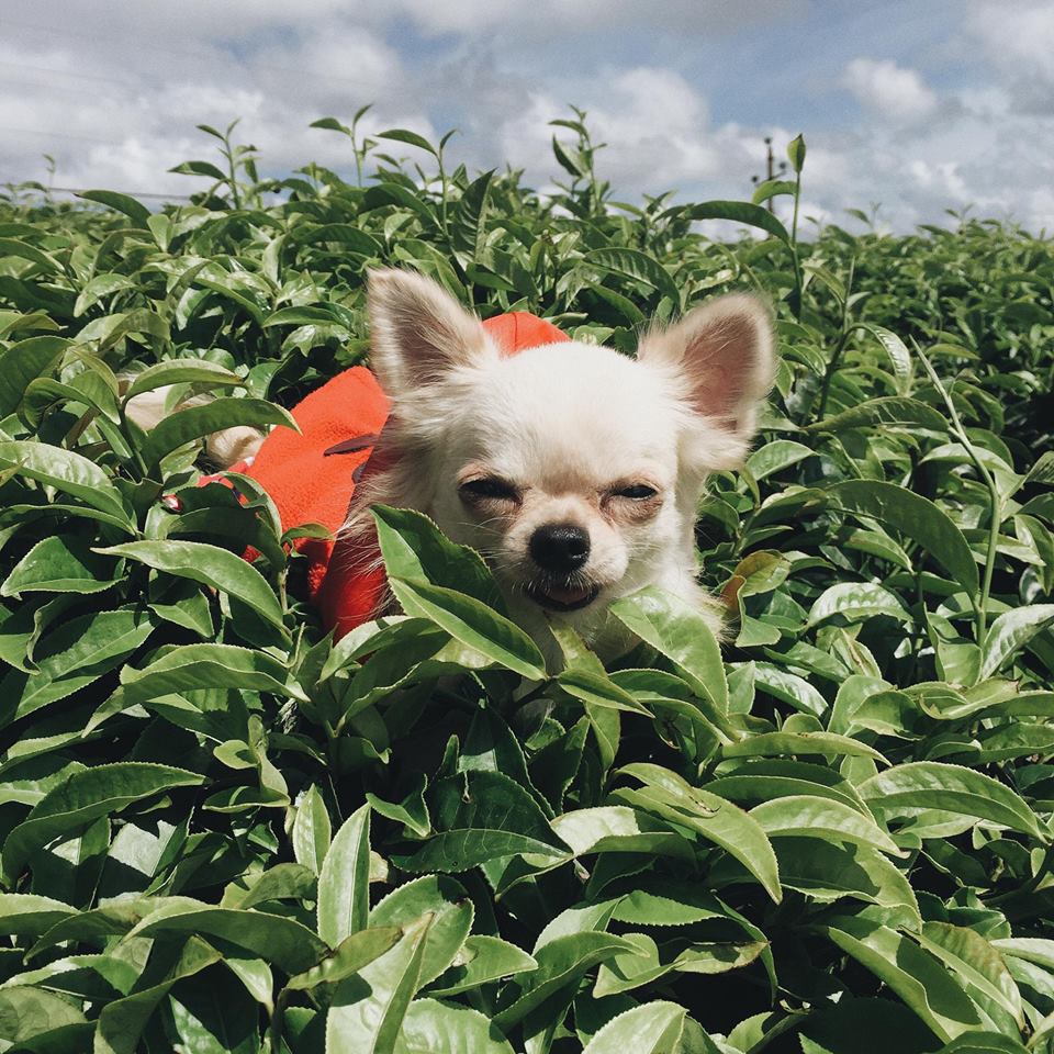 3c9e71d38397f6967e53.jpg
