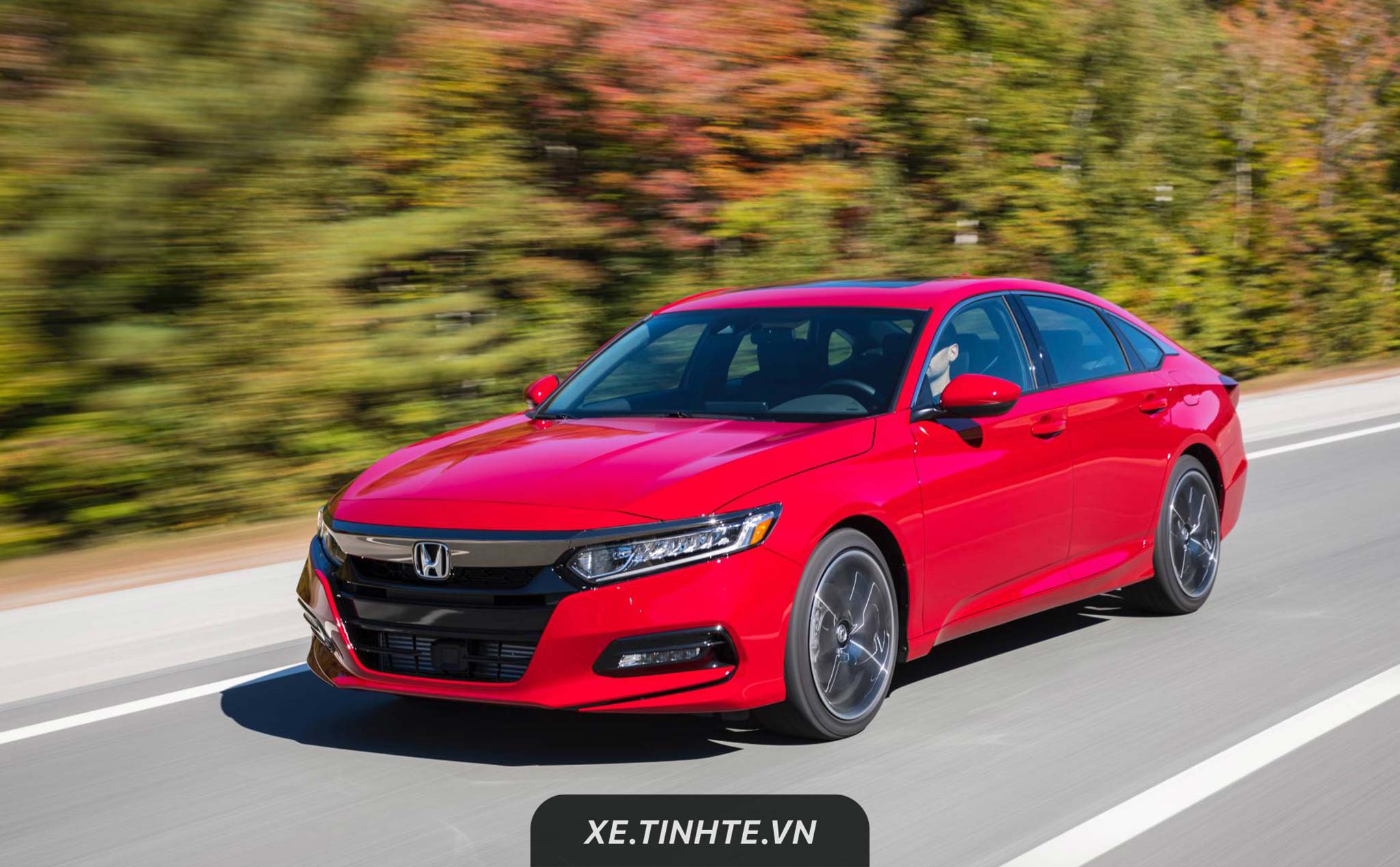 3cf706a80bb5895e975d.jpg