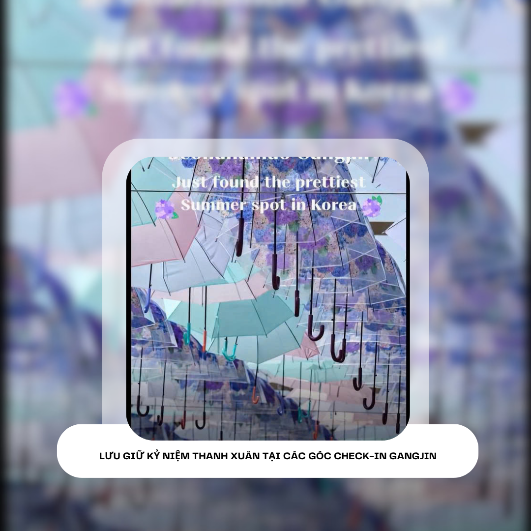 3cf7eaf138017b0b7237.png