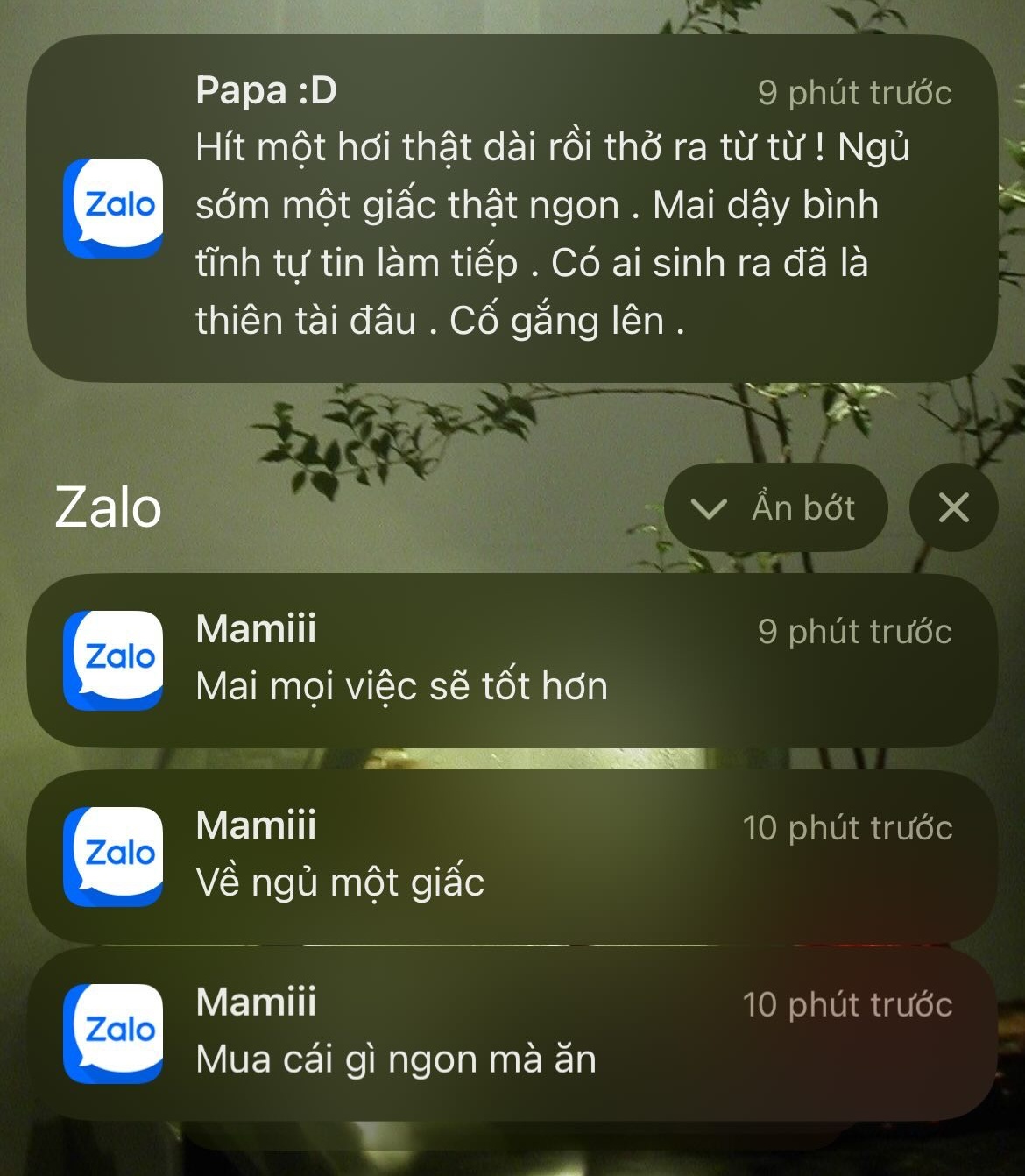 3d1a7748115989d18b37.jpg