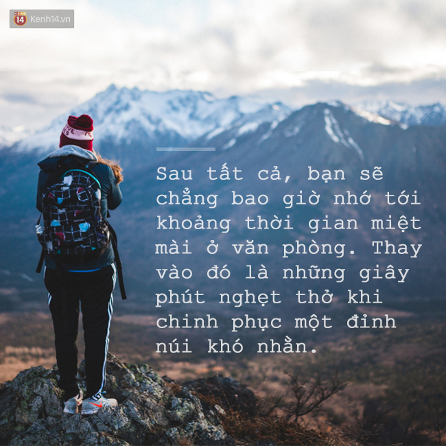 3d46fcfc5868370cffe0.jpg