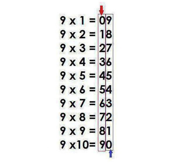 3d6c5029b8a3edeff0f8.jpg