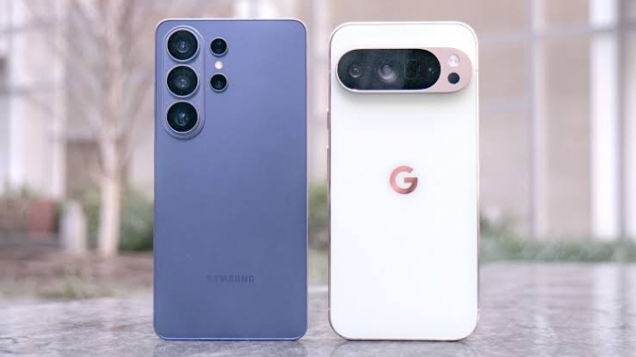 3d79a5956c0714bf1fa6.jpg