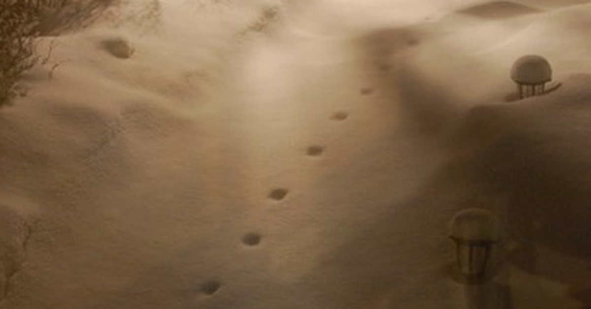 3dc62ec1f177f0440f52.jpg