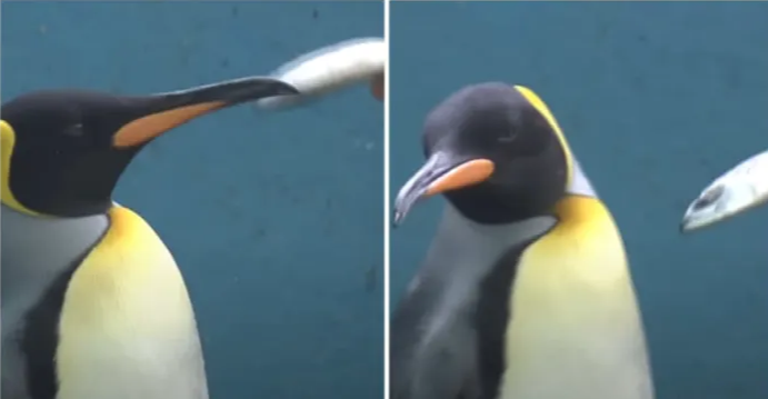 3de20f40f12a68141064.png
