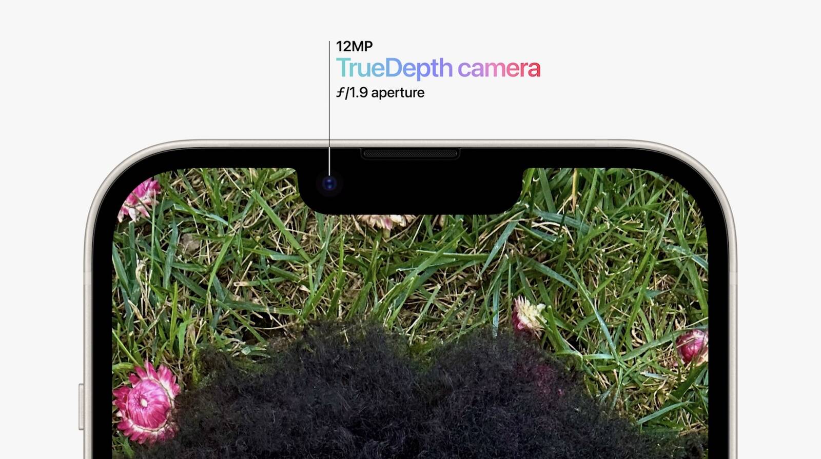 3df2f649f9fe9d3f2e1f.jpg