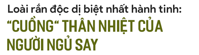 3e0fc58e8f3fa152e44d.png