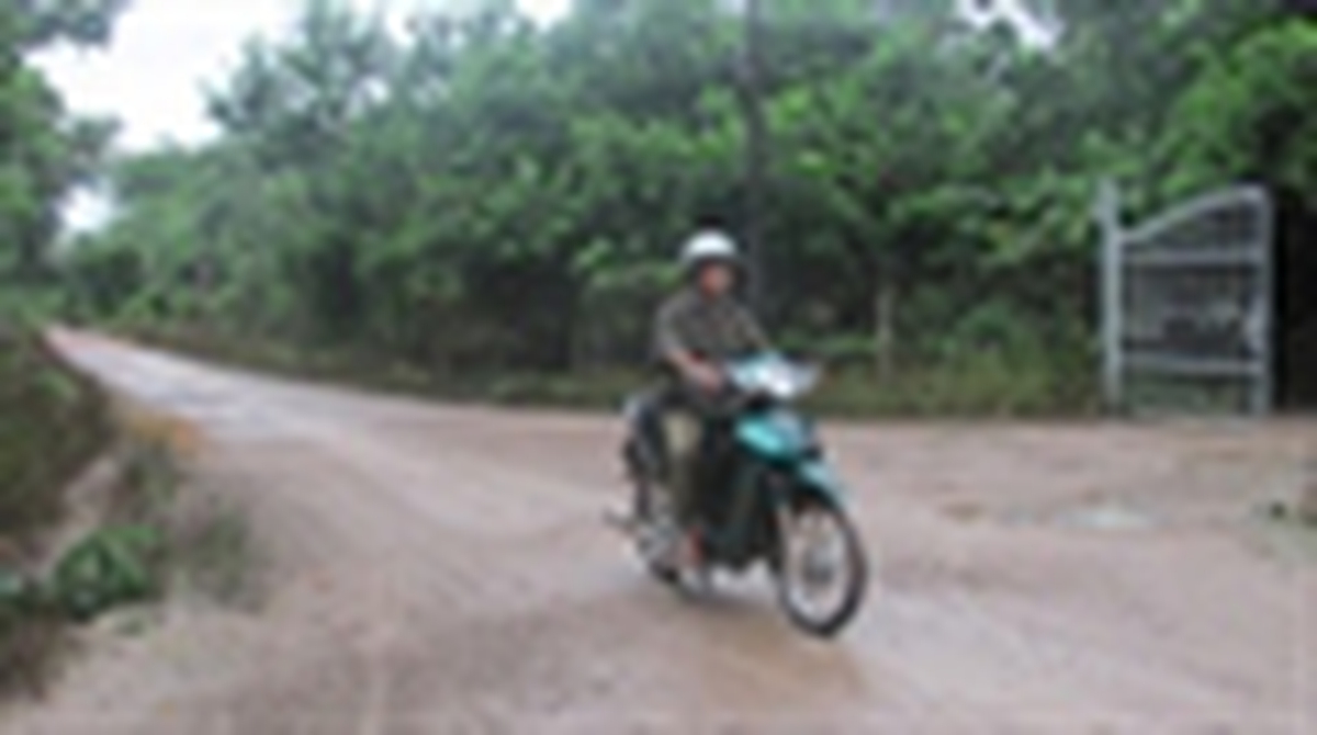 3e199b01ce74ef0796e1.jpg