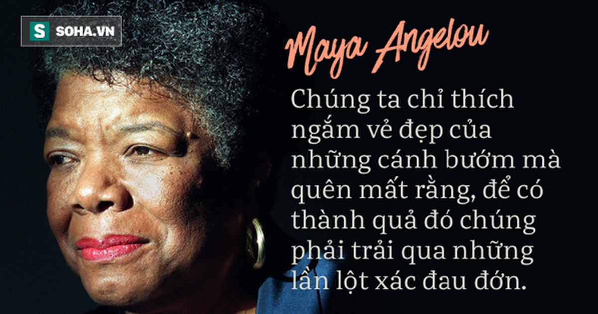 3e1a0063e9633cf93403.png