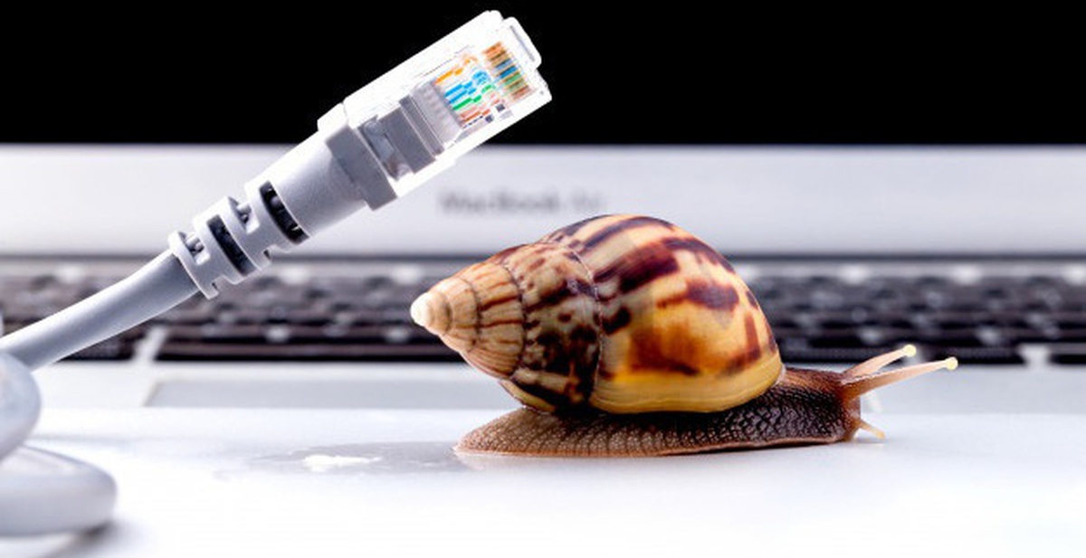 3eab32c1c238235db2e7.jpg
