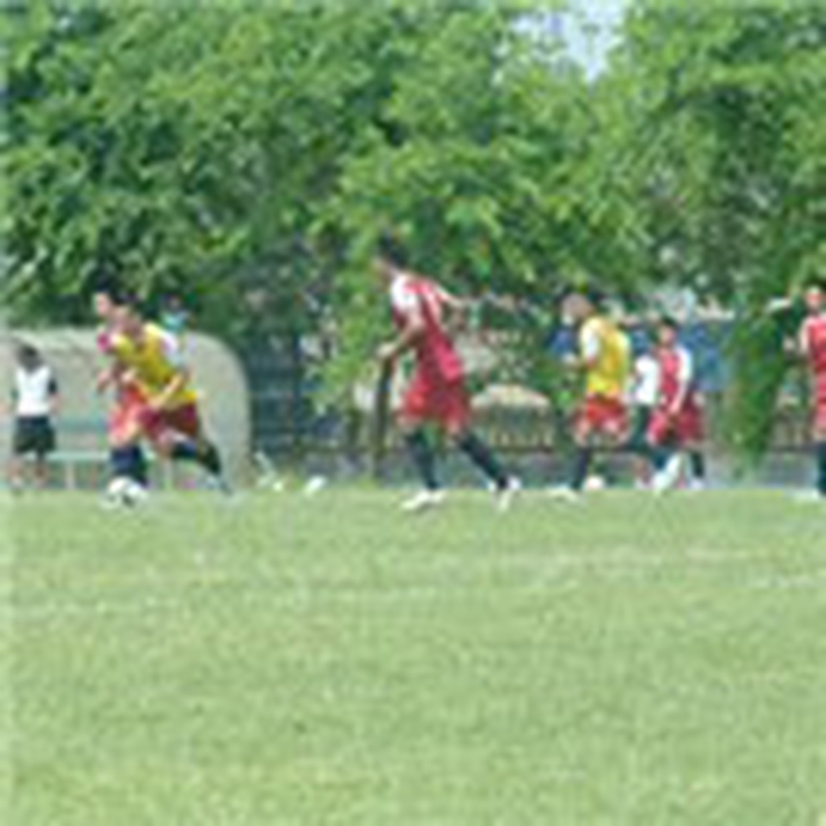 3ed9ced95c606461f13d.jpg