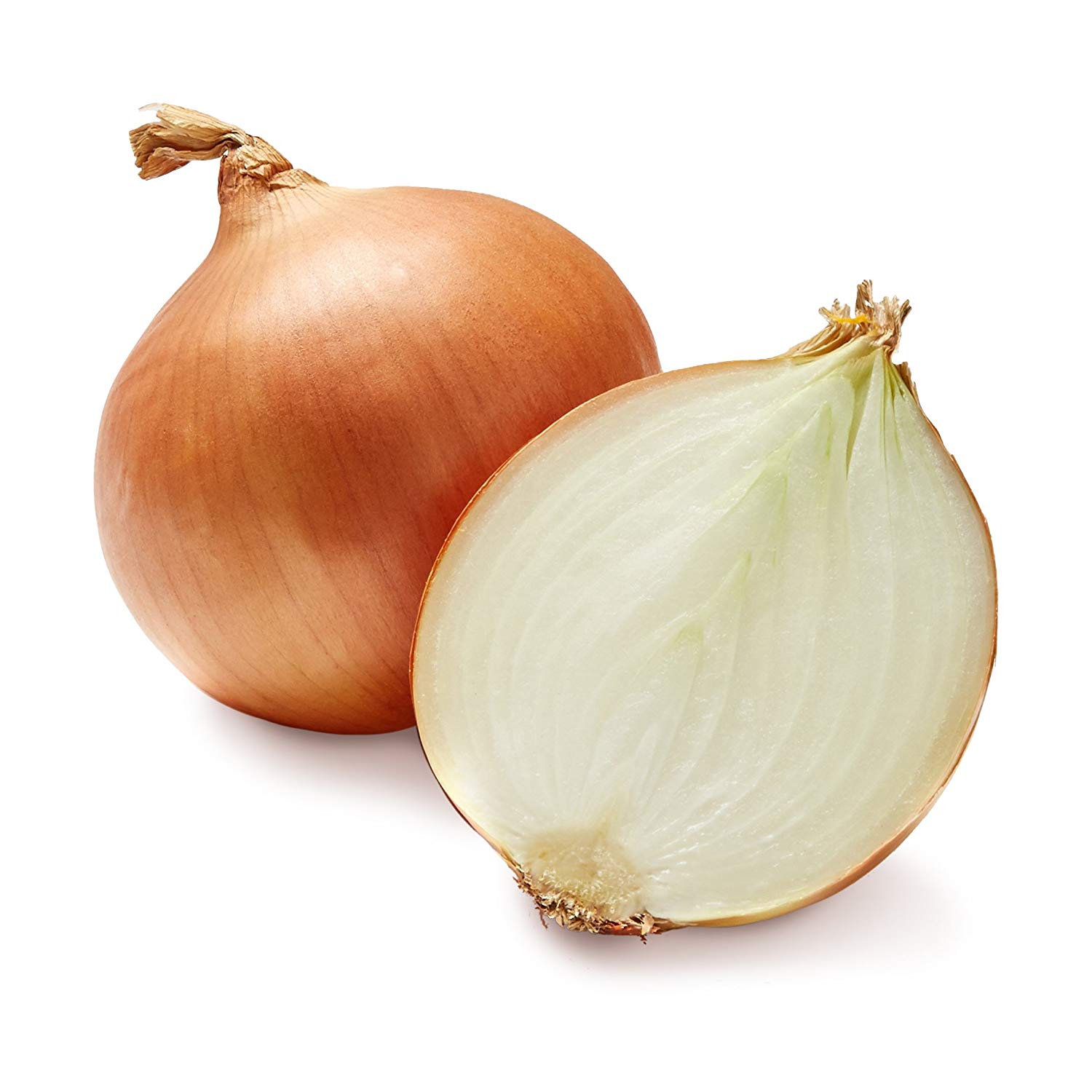 3f02f28599994e31ec76.jpg
