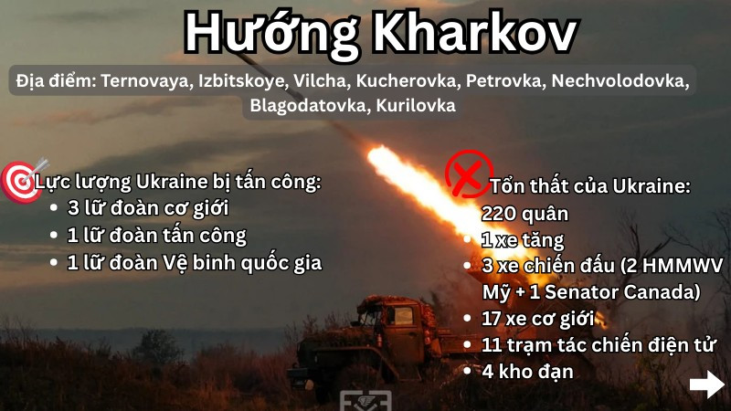 3f0ecd7df5f62897a031.png