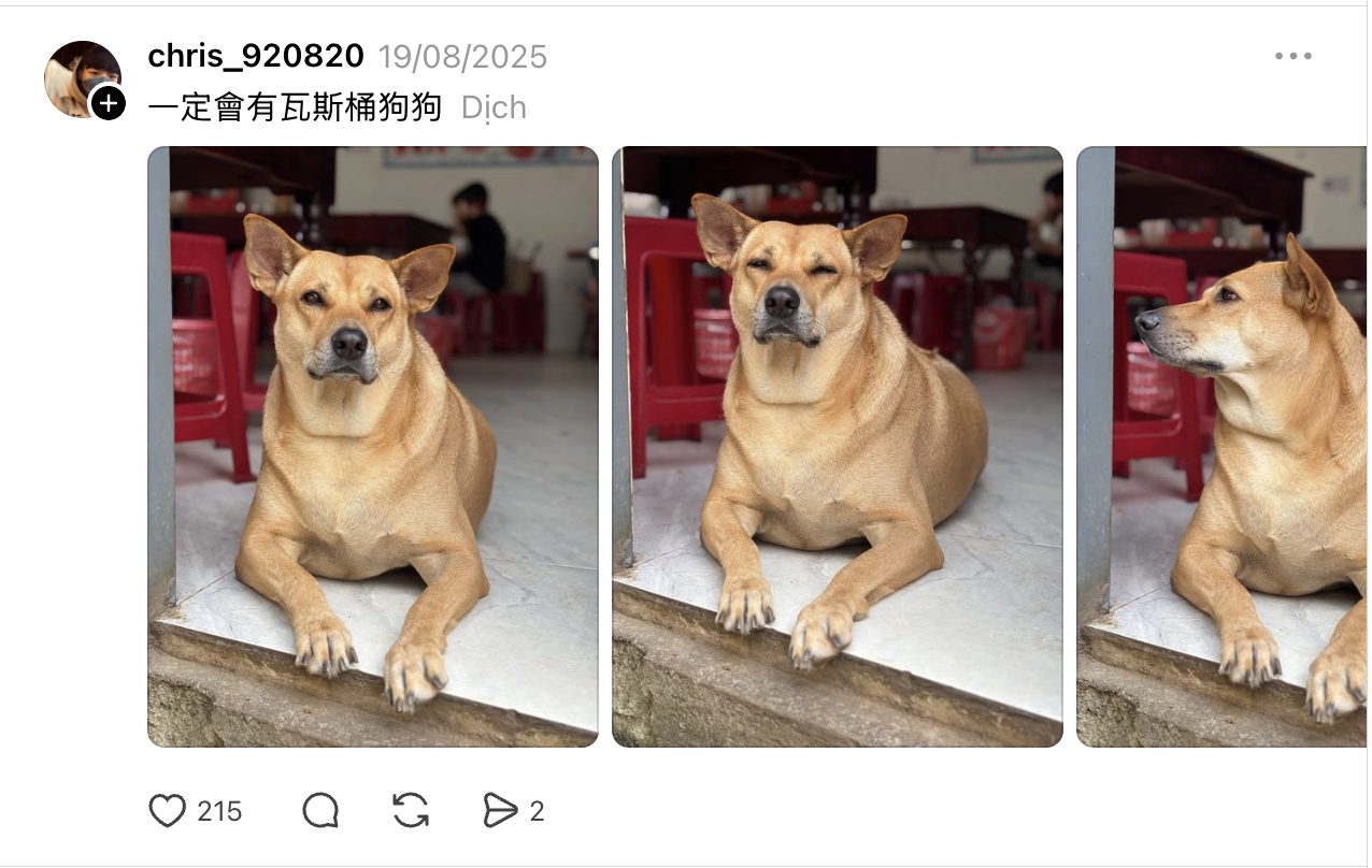 3f13df2d3a0d300055af.png