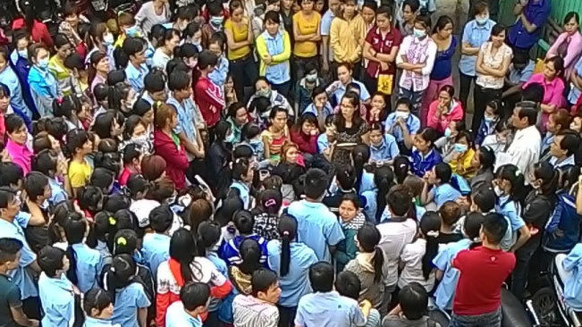 3f51b07bb500b66e0e03.jpg