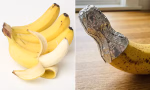 3f7ea4936cfeccf66c88.jpg