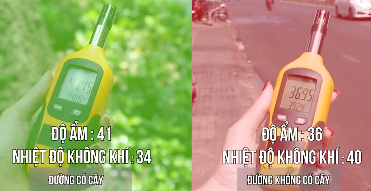 3f81efe45d9d4169c716.png