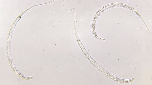 3f8711032bacaede0740.jpg