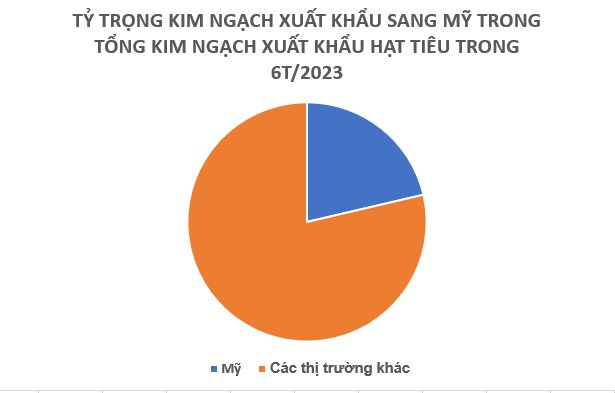 3fb6c6c66b147aae7c20.png
